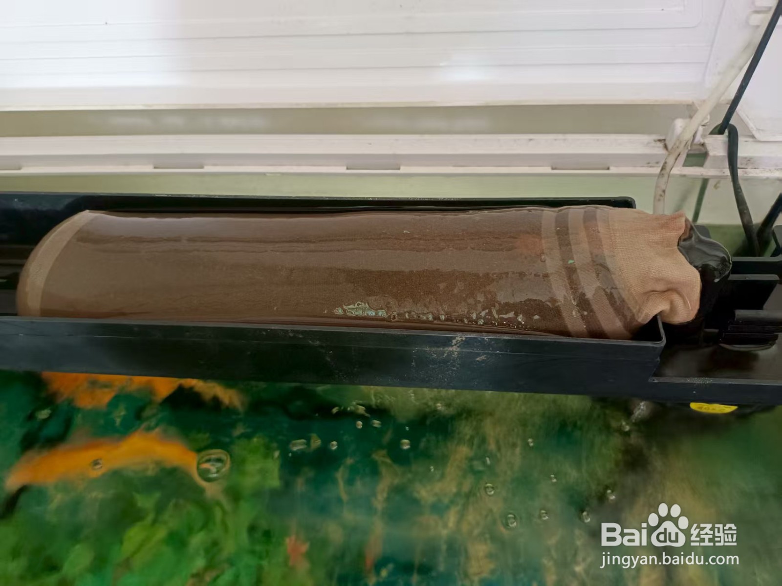 鱼缸少换水妙招