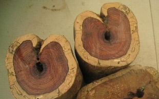 紫檀价格为什么差异这么大