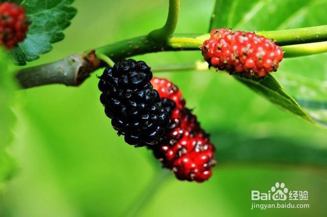 如何改善女人月经量少的情况