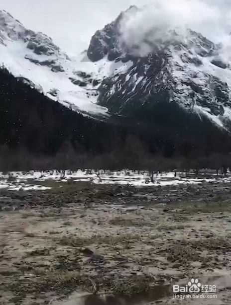 冬天,在国内应该去哪些地方看雪景?