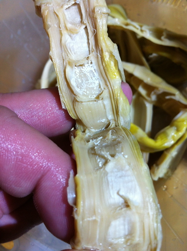 笋干啤酒焖五花