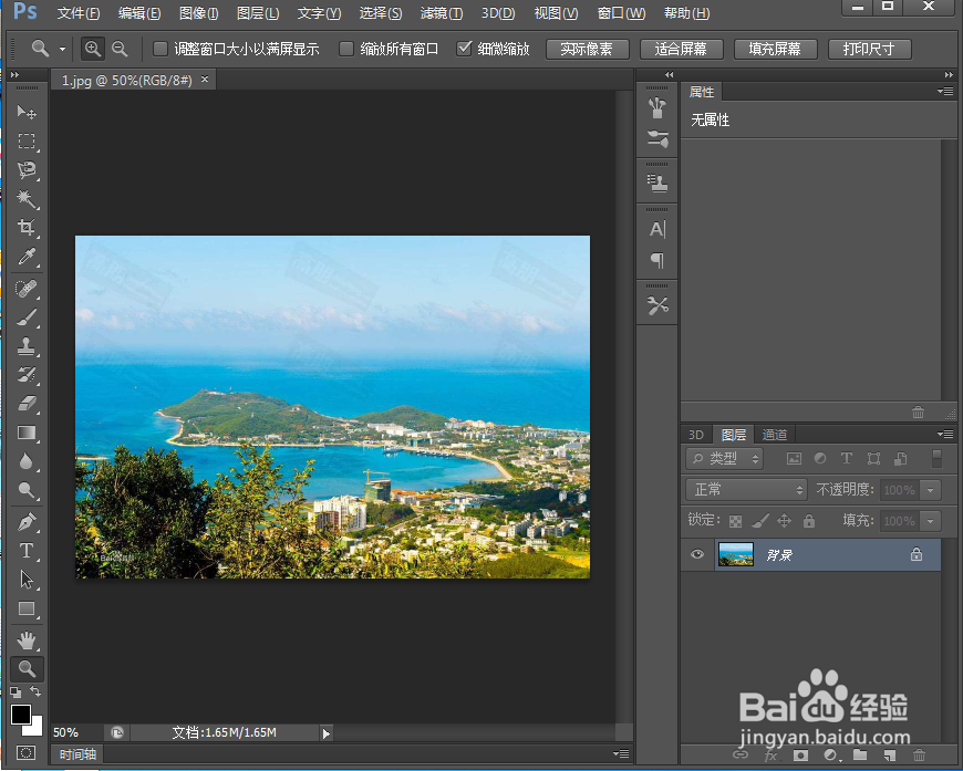 ps 2019给图片添加网状素描滤镜