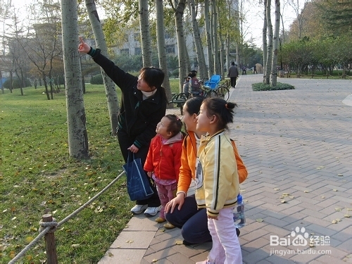 怎么使宝宝早日开口说话