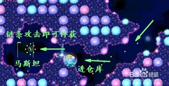 华丽荧光鱼攻略