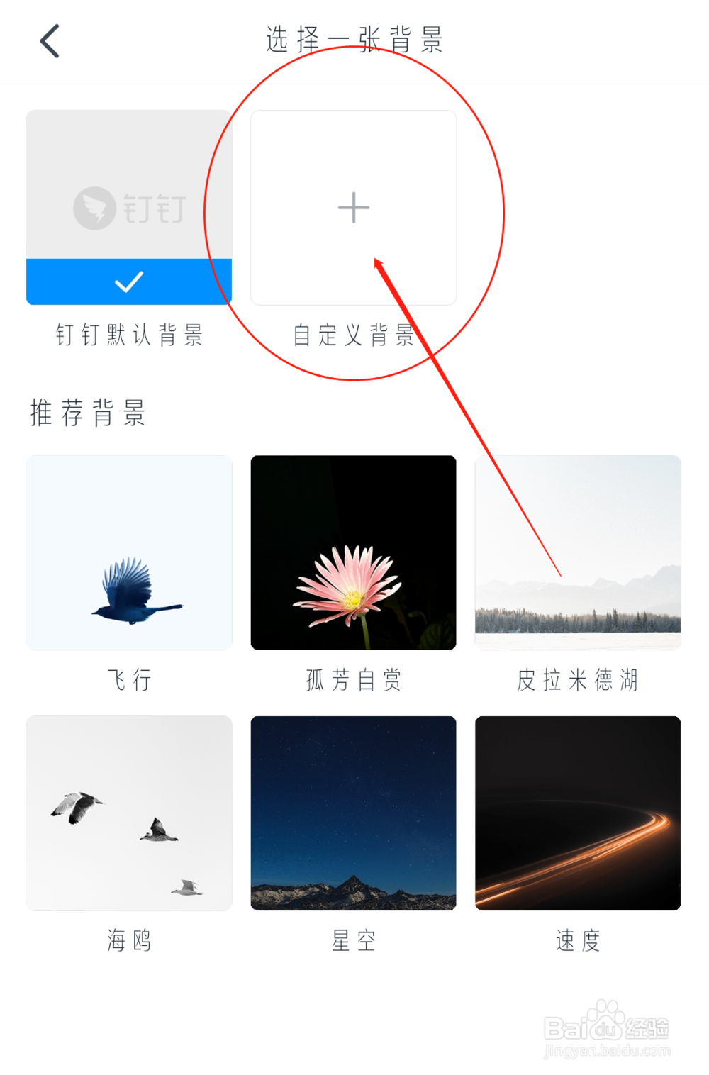 钉钉群聊怎么设置聊天背景