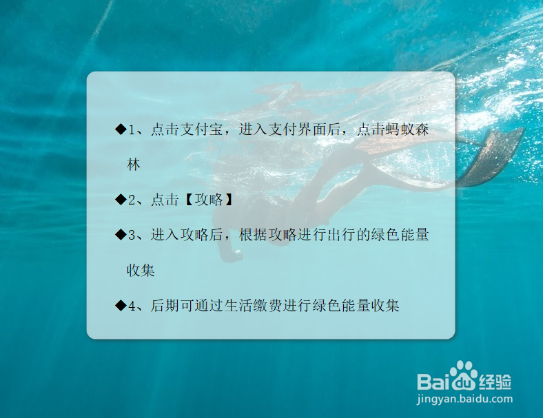 蚂蚁森林9.7kg攻略
