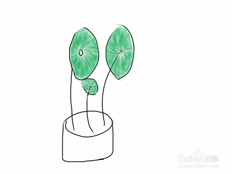 #过年#快过年了教你手绘金钱草旺旺财