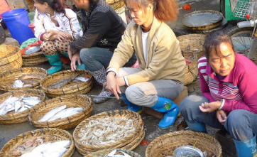 如何挑选新鲜的鱼呢?