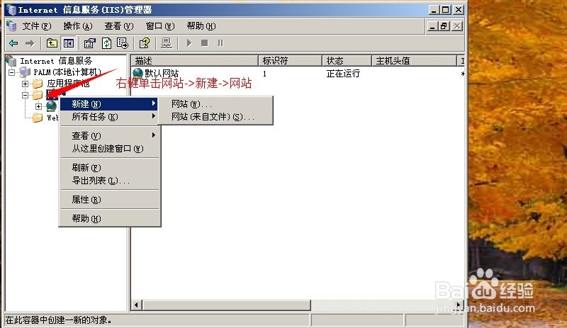 iis新建网站即网站配置