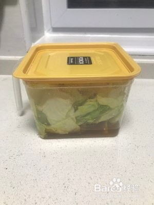 教你怎么做爽脆腌圆白菜