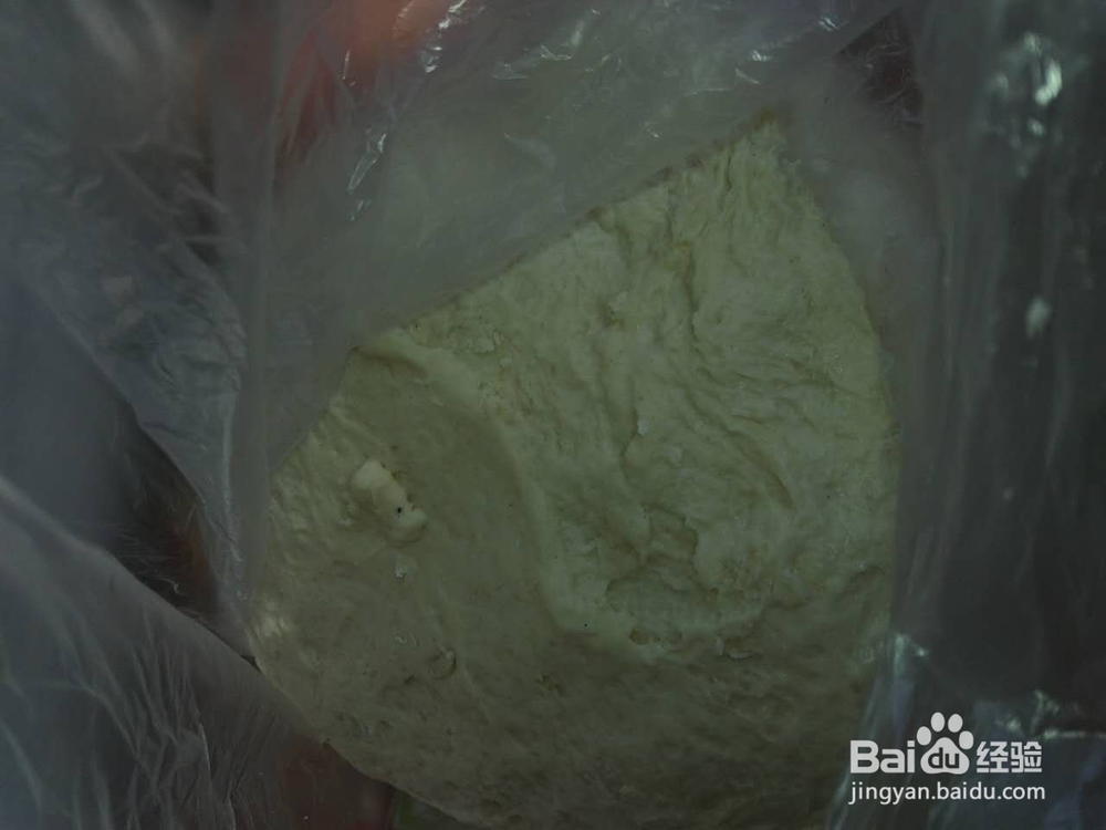 美味西葫肉饺子