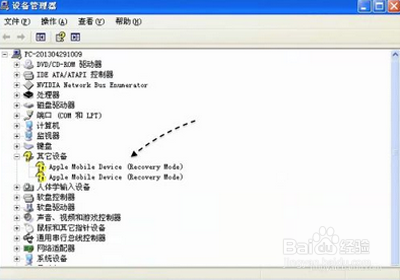 苹果手机连接电脑没反应该怎么办