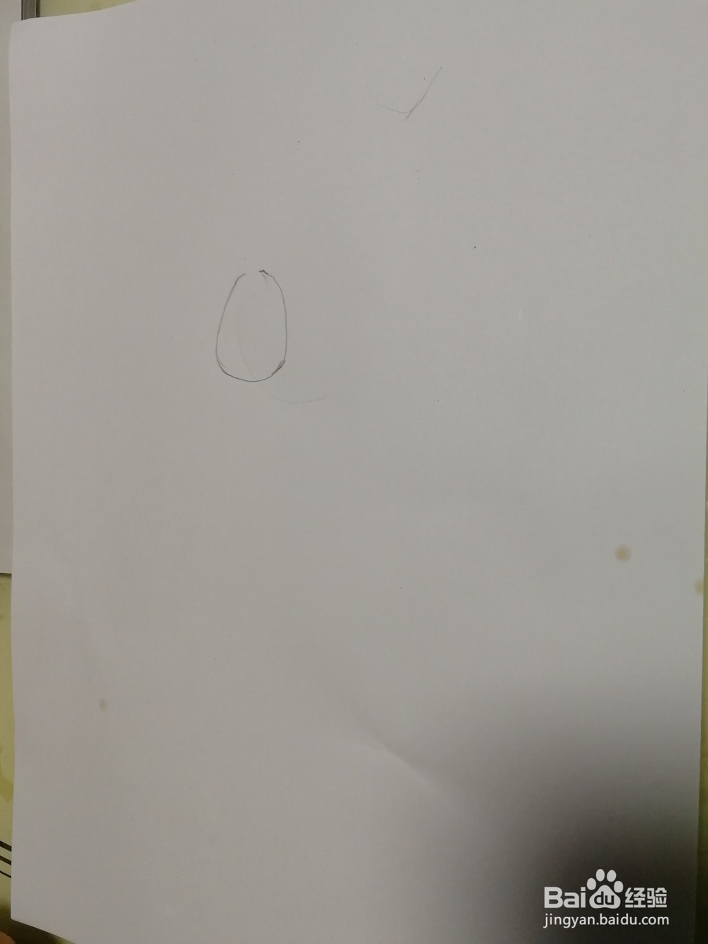 小企鹅怎么画,大白教你画企鹅