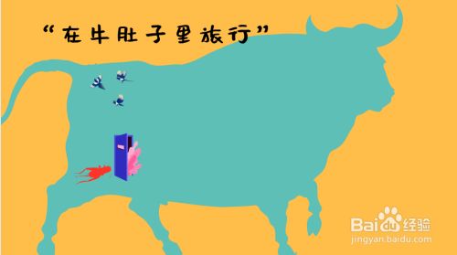 红头在牛肚子里旅行简笔画 百度经验 红头在牛肚子里旅行简笔画 百度经验
