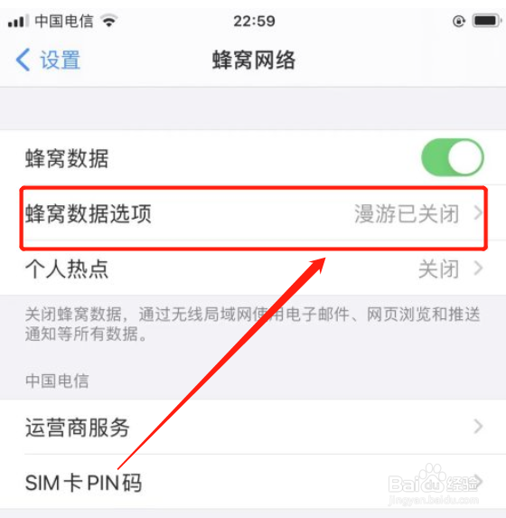 苹果手机如何开启低数据模式