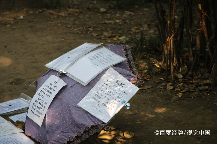 个人成就怎么写