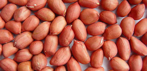 花生红枣黄豆汤也能丰胸？