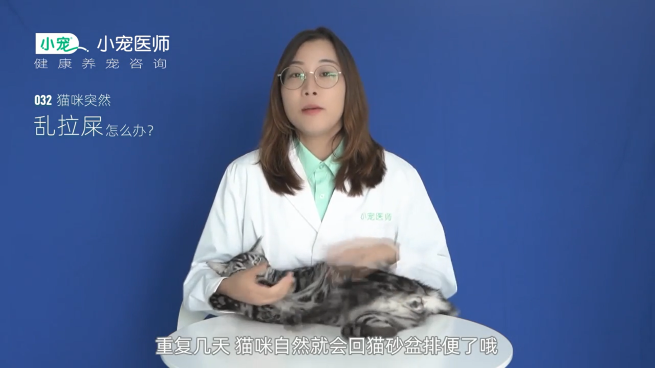 猫咪突然乱拉屎怎么办