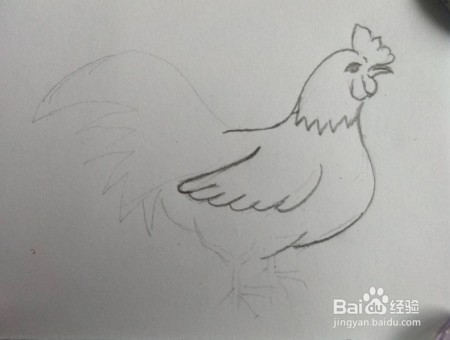 公鸡画法教程(1)亲子简笔画,怎么画公鸡