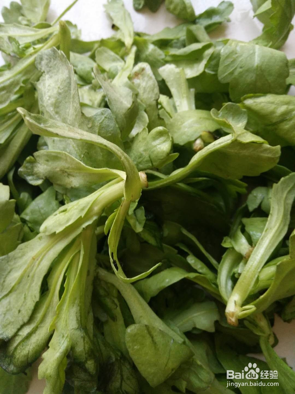 健康饮食——素炒茼蒿