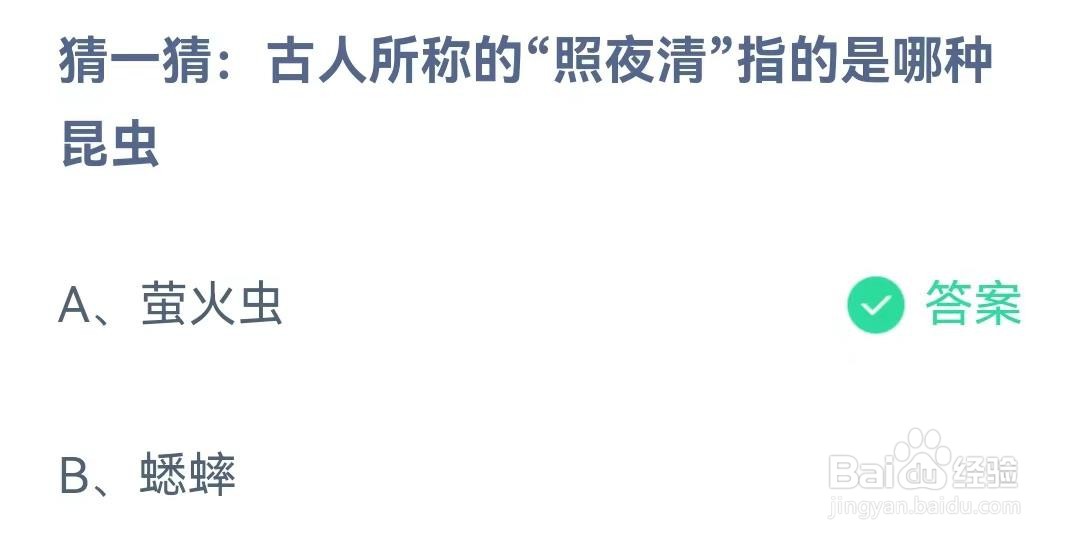 古人所称的“照夜清”指的是哪种昆虫?