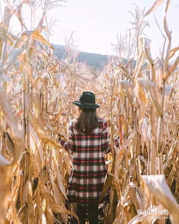 这几个拍照套路，分分钟刷爆朋友圈！