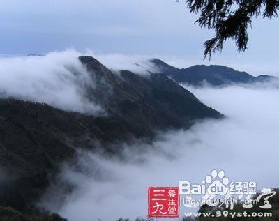 清明节踏青好去处