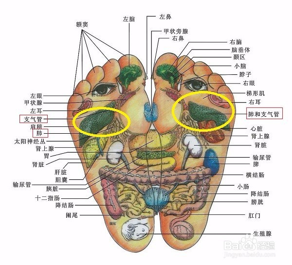 呼吸道感染怎么办