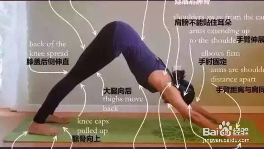 怎样才能快速瘦腿