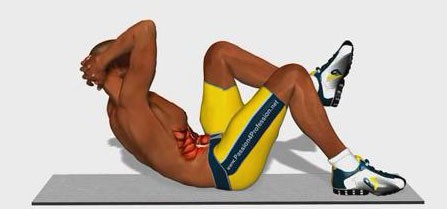 如何在家炼腹肌