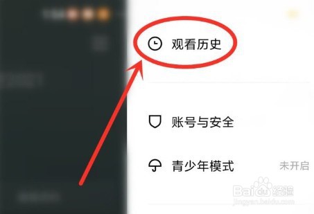青桃怎么清空浏览记录