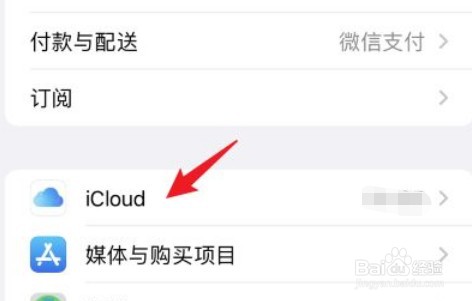 iCloud如何下载并保留原片