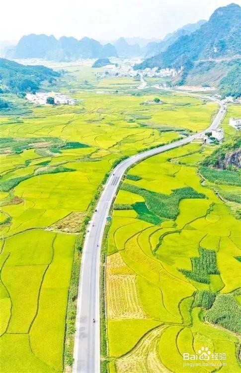 桂林象牙山的摄影旅游技巧