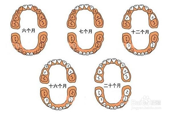 宝宝长牙的时候该怎么办