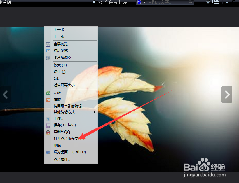如何使用可牛看图的上一张功能