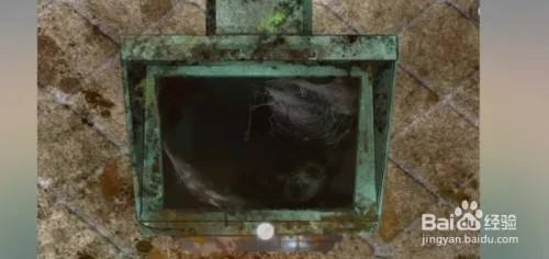 收纳物语青春油你通关攻略