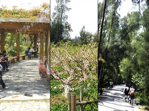 三中全会与理财浅析：[87]政策与理财分析