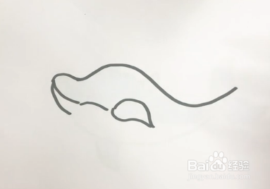 如何画一只小海豚