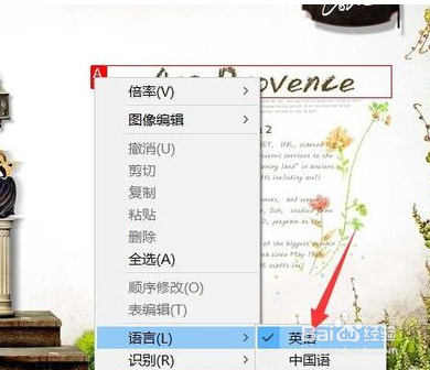 怎么修改图片中文字内容