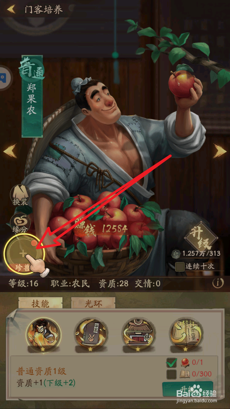 叫我大掌柜珍兽如何使用