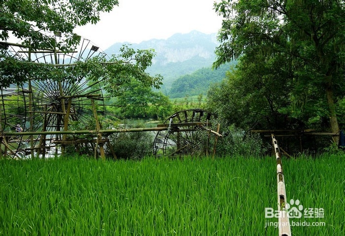 普者黑坝美旅游攻略