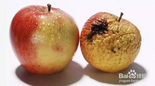 如何认知容易催老的食物