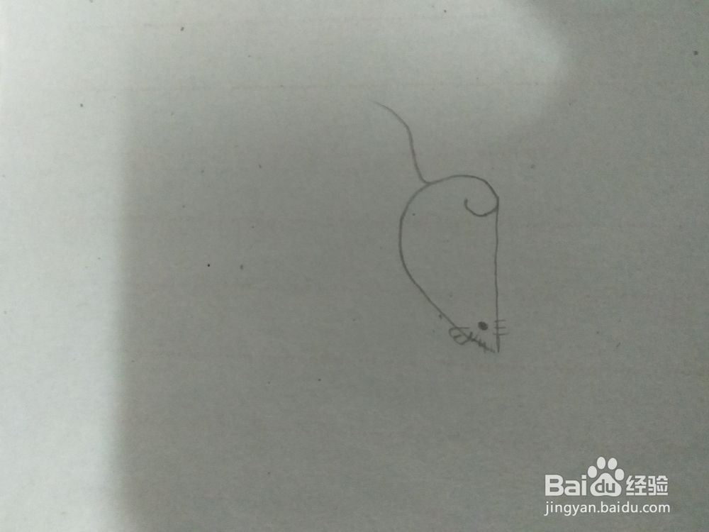 简笔画老鼠和热气球