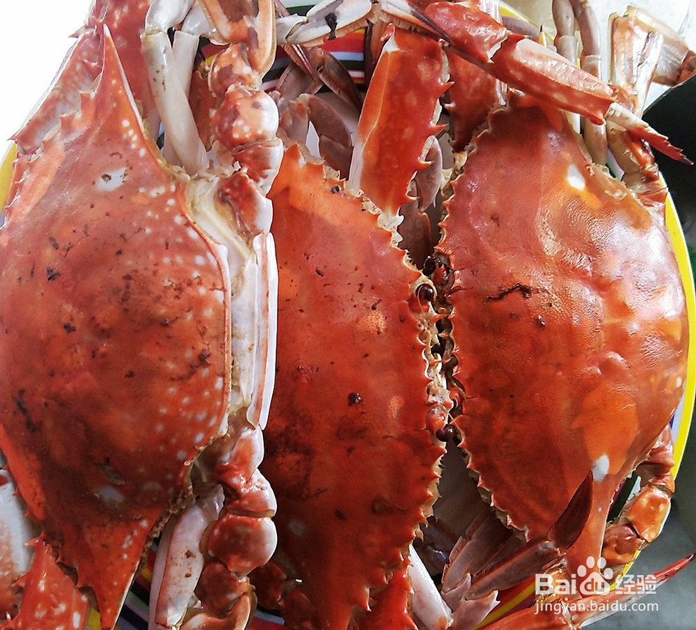 自己做烤梭子蟹干烧螃蟹海鲜美食