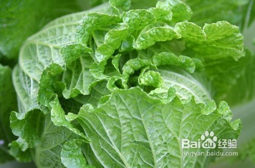 diy经济实惠又有效地祛痘面膜