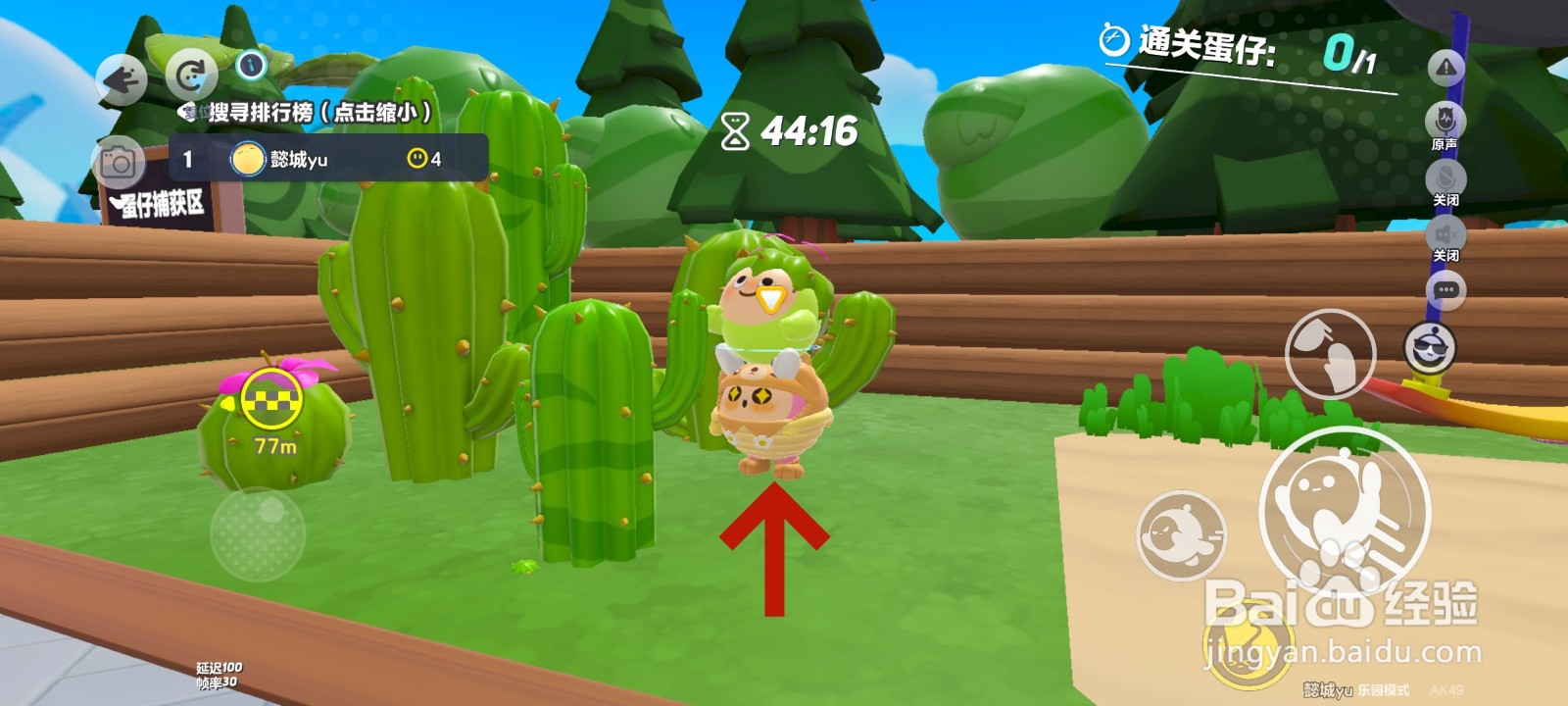 蛋仔派对游戏中搜寻仙人掌蛋仔的教程