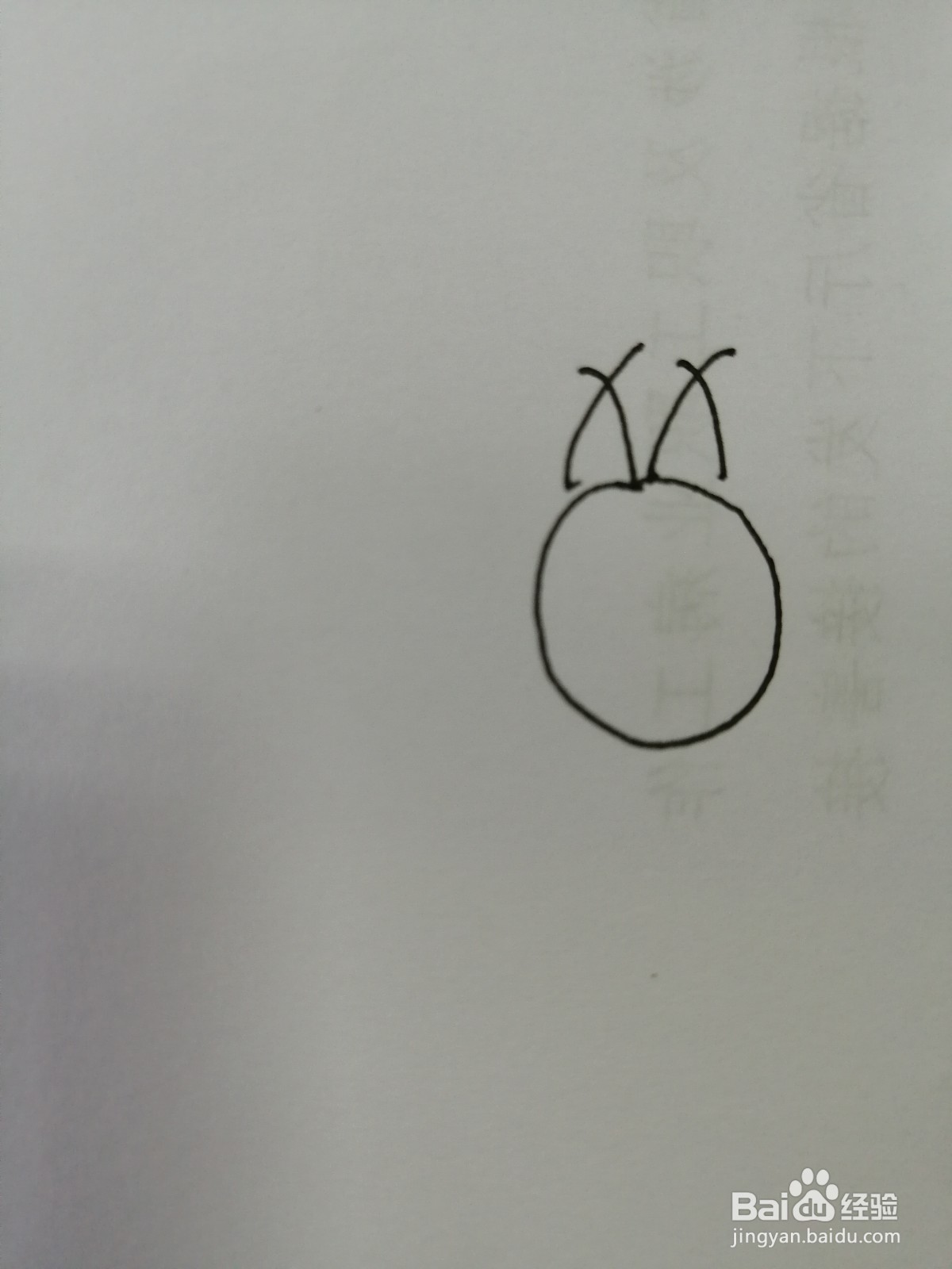 简笔画小松鼠怎么画