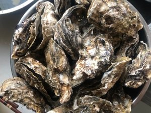 蒸生蚝简单好吃