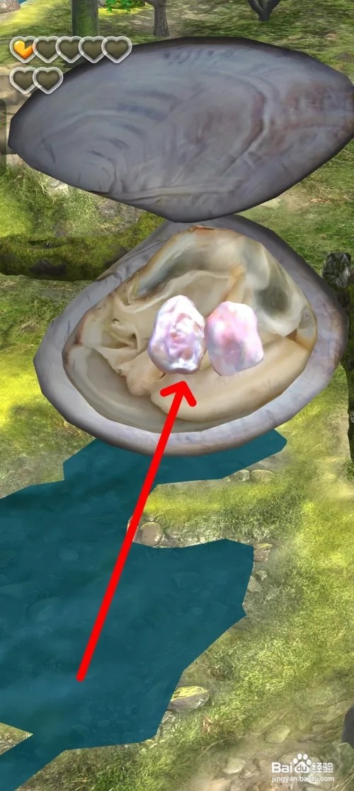 夺笋高手怎样获得巴洛克珍珠