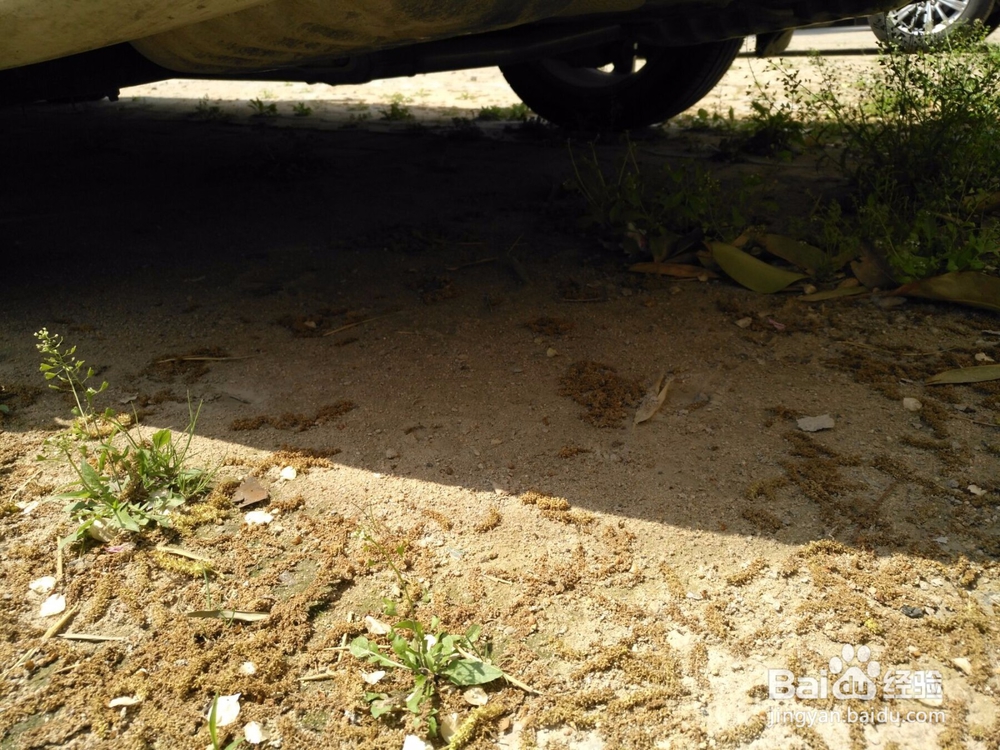 停放很久的车重新开需注意什么?